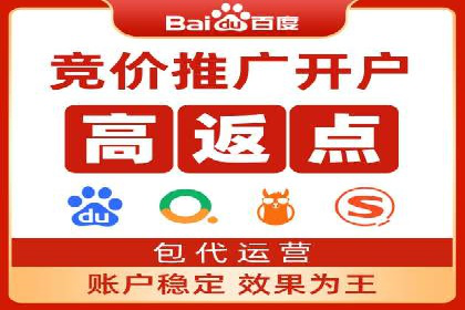 百度竞价广告投放全解析：成功案例揭秘